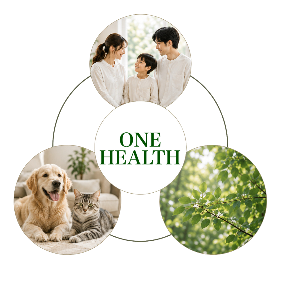 人・動物・環境の健康はひとつにつながっている（One Health）